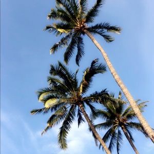 Meet your Posher, Rhea